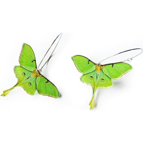 Summer New Trendy Acrylic Green Butterfly Moth Earrings For Women Round Simulation Of Insects Fashion Jewelry Gifts