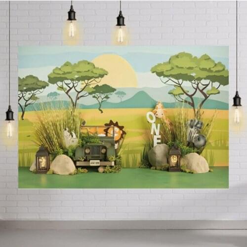 Newborn Baby Portrait Backdrop Kid 1st Birthday Baby Shower Animals Car Grassland Sunrise Photo Background Studio Photozone