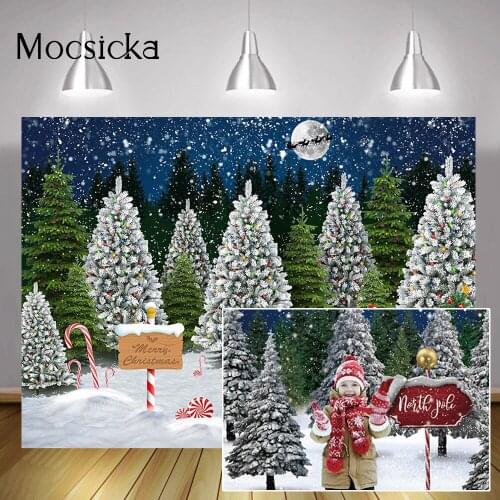 Snowing Night Landscape Forest Background Photography Winter Merry Christmas Portrait Background Frozen Pine Trees Red Car Gifts