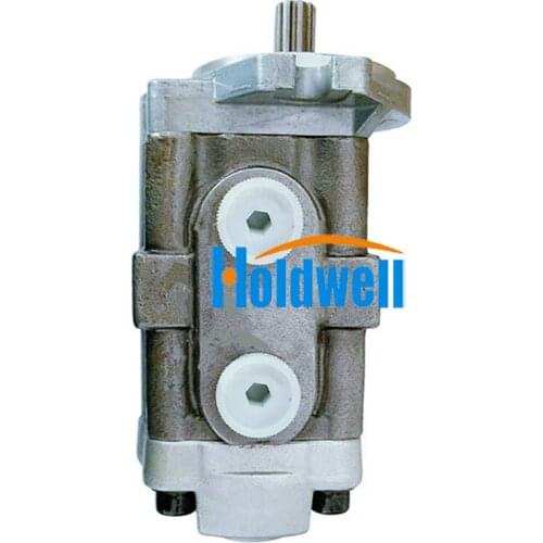 Holdwell Hydraulic Cooling Fan Pump Motor 200-3406 for CAT Excavator E325C E322C M325C