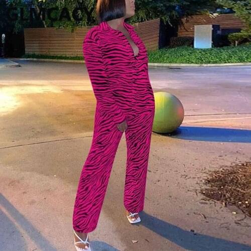Women Two Piece Zebra Printed Suits Long Sleeve Button Up Shirt & Slim Pants Set