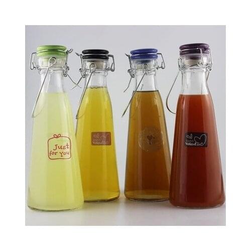1PC Glass Beverage Milky Tea Fruit Juice Drink Bottle Cup With Lid Terrarium for Home Shop Tea JR 1102