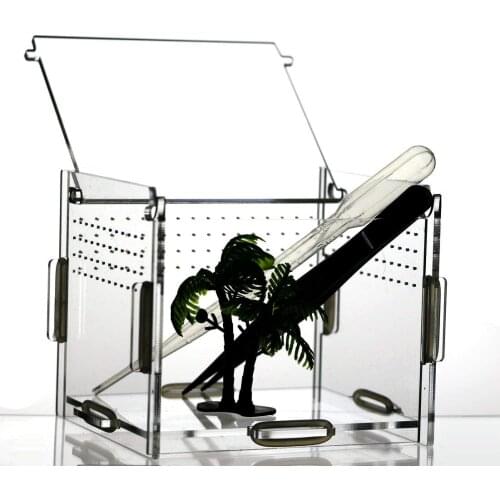 Terrariums Mini Vivariums Crystal Habitat DIY High transparent Acrylic Ideal for Insect Cricket Spider Snail Reptile 4x3.8x3.8