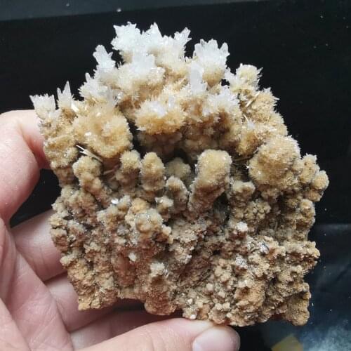 92.5gNatural rare cactus flowering calcite mineral specimen healing energy furniture decoration QUARTZ GEM