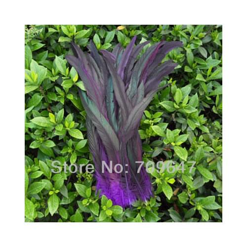 Purple Feather! 50 Pcs/Lot Dyed Purple Rooster Tail Feathers 12 to 14 inches,Loose Tail Feathers,Plumas Decoracion