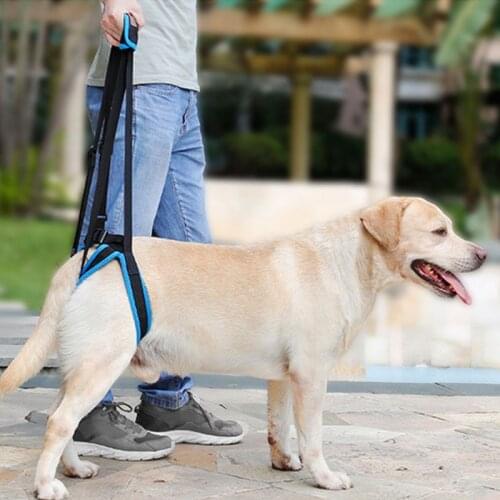 Dog Lift Harness Steady Sling Helps Dogs with Limited Mobility Weak Front or Rear Legs Stand Up Best Alternative Dog Wheelchair