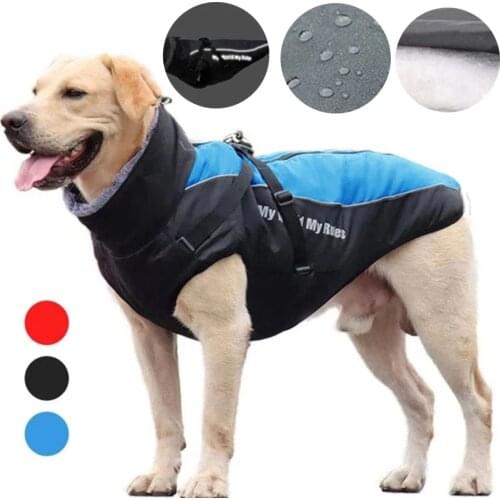 Brijoo Clothes And Footwear For Dogs