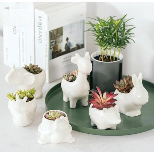 Home Garden Desktop Animal Ceramic Flower Pot Chinese Succulent Pot Crafts Creative Ornaments Home Decoration Birthday Gift Cute