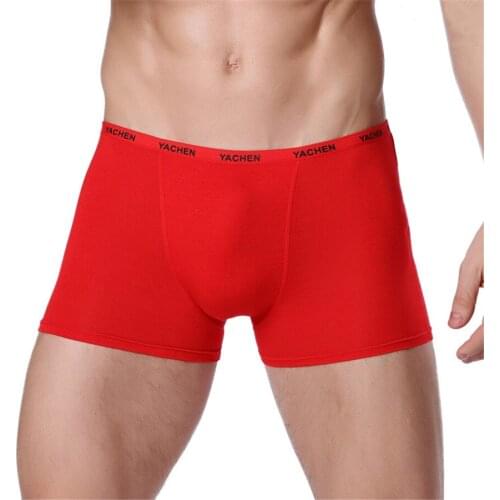 Mens Modal Underwear Boxer Trunks Cotton High Quality Men Underwear Shorts Brand Gay Penis Pouch Man Boxers Home Sleepwear
