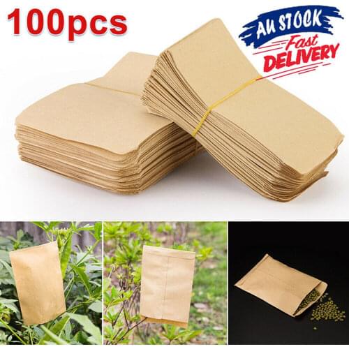 Kraft Paper Seed Envelopes Packets Envelopes Garden Storage Bag For Plant Fruit Kraft Paper Bag Food Tea Small Gift Storage