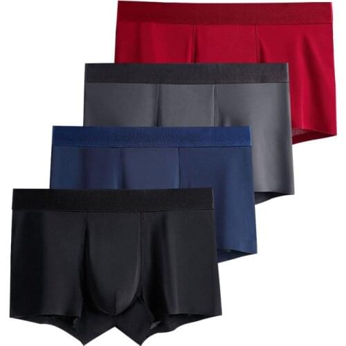 Panties For Men Underpants Thin Boxer Homme Marque Luxe Nylon Silk Boxers Hombre Double Bag High Stretch Seamless Underwear Man