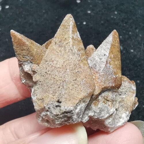 Celebrity! 100% natural conodont calcite mineral specimen, crystal and stone decoration, Quartz Gemstone collection ornaments