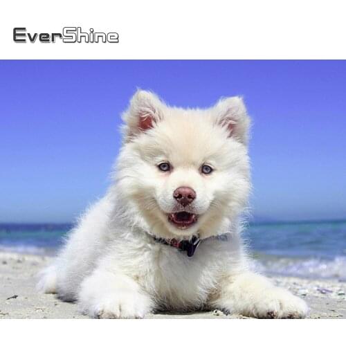 Evershine 5D Diamond Mosaic Dog Diamond Painting Animal Rhinestone Pictures Diamond Embroidery Sale Full Square Round Drill Art