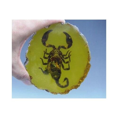 Elaborate Interesting Chinese Decorated Handwork Resin inlaid with scorpion Auspicious Statue