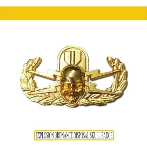 Explosion Ordnance Disposal Skull Badge Military U.S. Army Explosives Disposal Crab Collar Pin