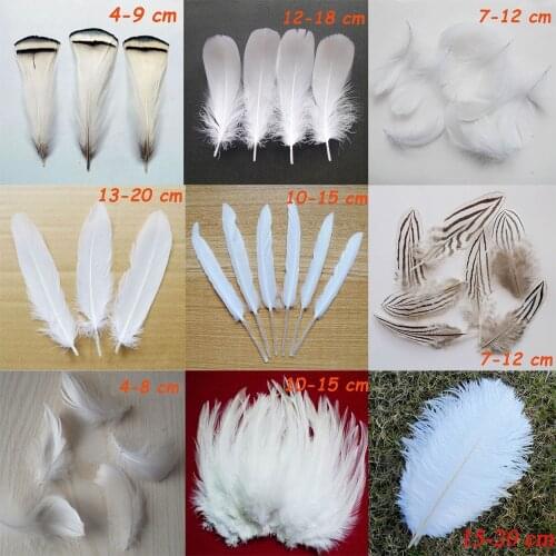 20pcs 12 kinds White Rooster Ostrich feather Pheasant tail Chicken feather Goose Plume Party Accessories DIY Craft decoration
