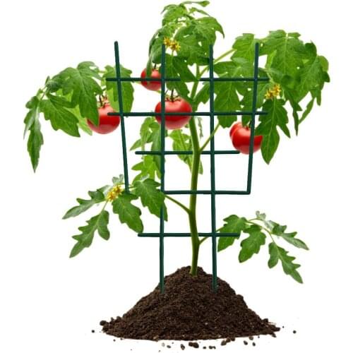 Climbing Vine Rack Plant Potted Support Frame Plastic Coated Plant Climbing Frame Flower Vegetables Decorative Trellis Bracket