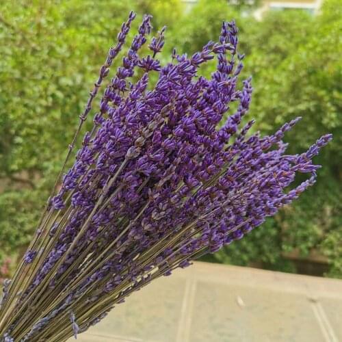 40g/20-35cm,Natural Preserved Lavender bouquet,Real Eternal Lavender Arrange flowers for Wedding home Decoration accessories