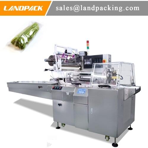 Celery Horizontal Flow Pack Machine Vegetable And Fruit Pillow Bag Packing Machine General Purpose