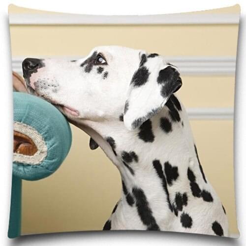 Dog with head on the sofa Pillows Case Cotton Polyester Sofa Car Cotton Cushion Cover Creative Decoration Square 5 size 9 style