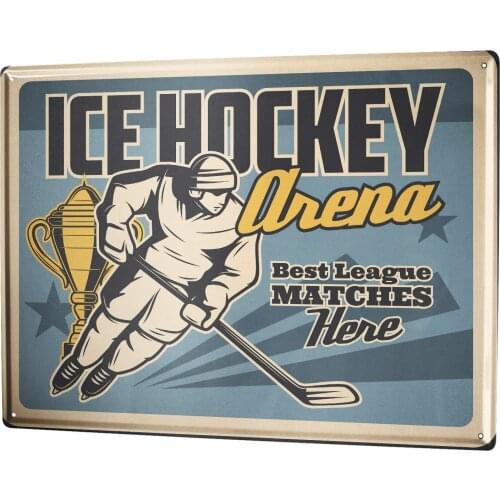 Sheet Metal Ice Hockey Poster Funny Sign Tin Art Wall Decor Vintage Aluminum Retro Metal Tin Sign Painting Signs 20x30cm