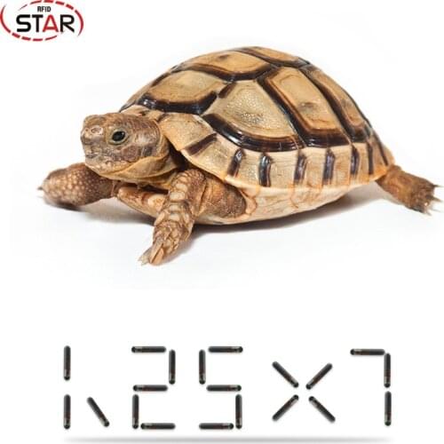 1.25*7mm 90pcs Animal Glass Tag/rfid Transponder FDX-B 134.2KHz microchip For pets dog / cat / pets / fish/horse/Snake