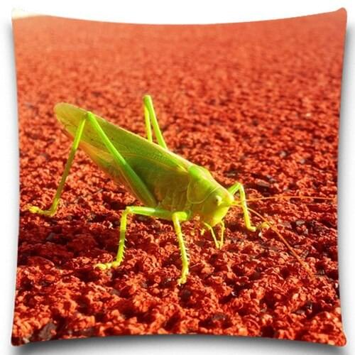 Grasshopper green illow Case Bedding Room Sofa Chair Home Hotel Decorative Cushion Cover