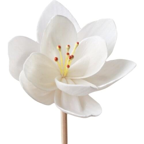 10Pcs/set Aromatherapy Orchids Sola Flower Home Decoration Simulation Flower for Reed Diffuser