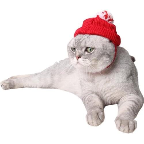 Pet Cap Pet Supplies Dog Cat Puppy Christmas Holiday Kitten Pierced Woolen Hat Decor Cat Supplies
