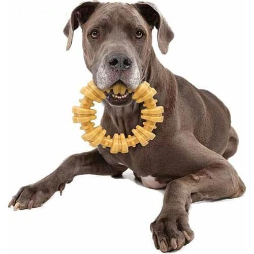 JuYouHui Exterior Accessories Decal Beautiful Nylabone Dura Chew Plus Textured Ring Dog Car Stickers Bumper Decals PVC 13cm