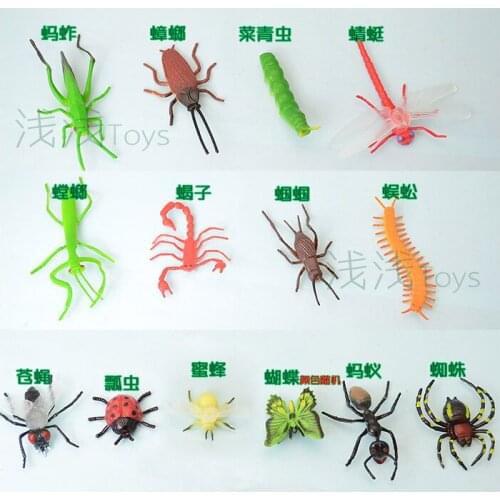 5-7CM Model 14PCS/ set ant cabbageworm scorpion fly cricked