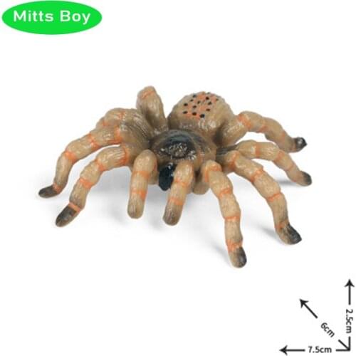 Simulation Wild Animal Model Toy Action Figures Solid Static Plastic Spider Educational Toy Simulation for Children Figures Gift