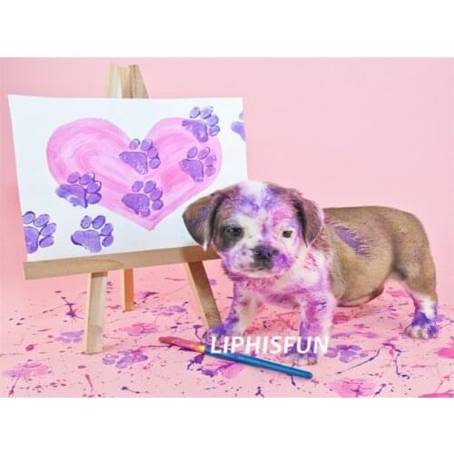 LIPHISFUN Needlework Cross Stitch Embroidery Diamond Painting Full Drill Home Decor Square/round Animal Dog Colorful