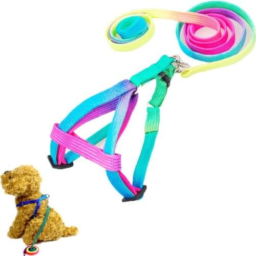 Adjustable Cat Pet Collar Harness Leash Set For Cats Dog Small Pets Breakaway Rainbow Nylon Rabbit Dogs Leash