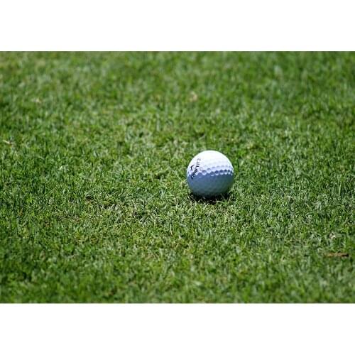 Green Grass Golf Photographic Backdrops Vinyl Cloth Backgrounds for Wedding Party Newborn Children Photophone Photo Studio