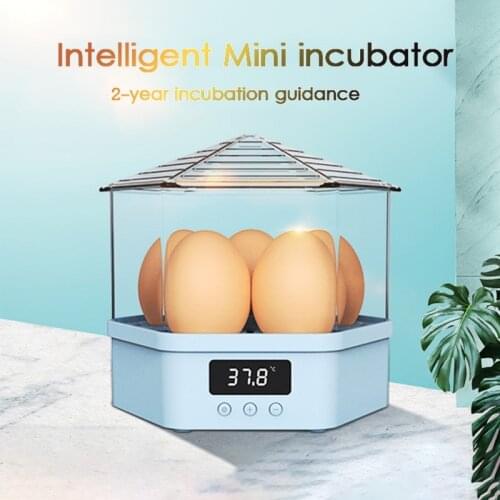 Five Pieces Automatic Smart Home Incubator Quail Parrot Hatcher Pet Supplies For Incubator Eggs Chicken Duck Pigeon Bird Egg