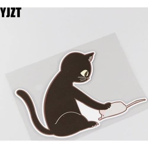 YJZT17CMX12CM The Fierce Animal Cat Car Sticker Decal Personality Animal 13B-0022