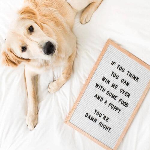 1 Set Felt Message Board with Letter Wooden Alphabet and Number Learning Frame Home Decor