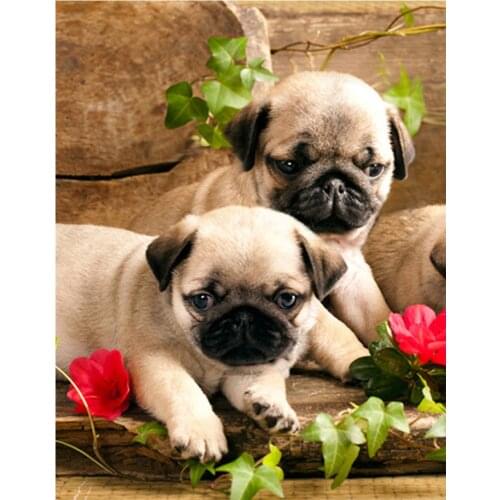 5D DIY Diamond Painting Bulldog Full Square Round 3D Embroidery Flowers Picture of Rhinestones Cross Stitch Kit Room Decor DF643