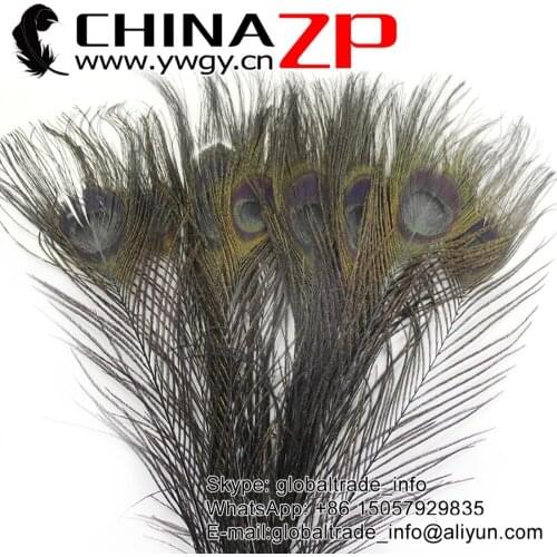 Retail and Wholesale from CHINAZP Factory 500pcs/lot Best Quality Dyed Black Full Eye Short Peacock Feathers