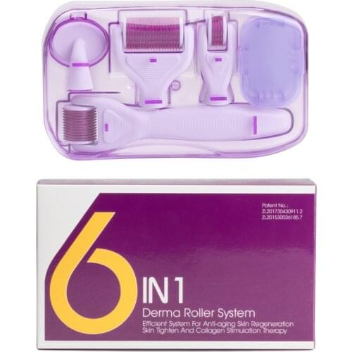 6 in 1 Dermaroller Beard Roller Micro Needle Roller Kit For Scalp Hair Growth Eye Face Body Skin Care