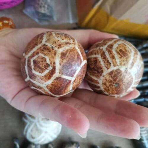 1pcs/lot Pure natural Bontic natural wood fossil ball A rare product left over from a thousand-year history family heirloom diy