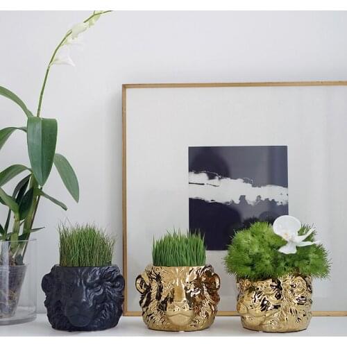 Lion Head Shaped Vase Home Desktop Flower Arrangement Vase Green Plants Succulents Flower Pot Potted Desktop Decoration Gifts