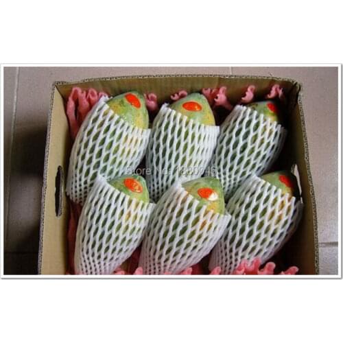 Free shipping 30x10cmThicken Fruit foam white EPE Foam mesh sleeve net fruit foam sleeve net flower sleeve net packing material