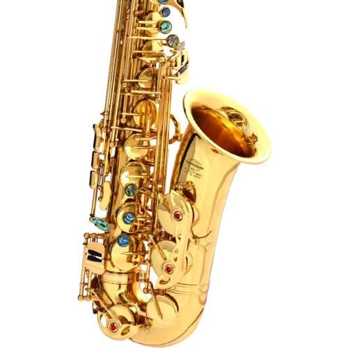 Hot selling E-flat alto sax Musical Instruments saxofone Electrophoresis gold professional sax & Hard boxs
