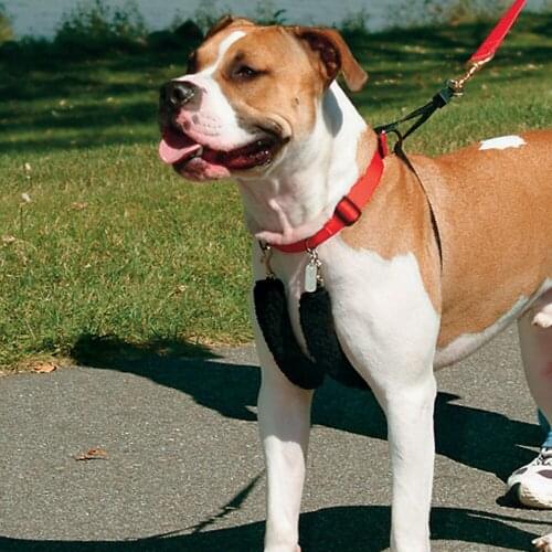 New No Pull Design Dog Harness Durable Pet Vest Harness Lead For Small Meduim Large Dogs Perfect for Daily Training Walking S-XL