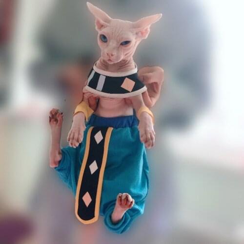 Cosplay Sphinx hairless cat custom cotton Cape crotch pants dragons cat clothes pet costume