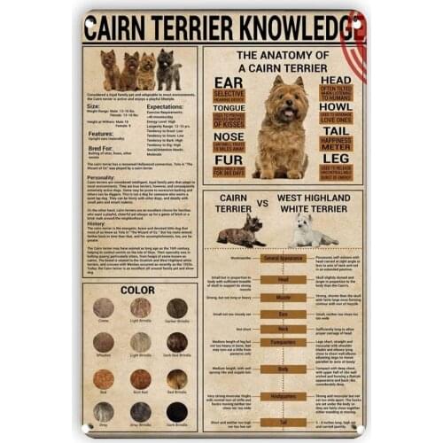 Metal Tin Sign Cairn Terrier Knowledge Retro Vintage Tin Sign Funny Gifts for Game Cafes Bar Pub Beer Club Wall Home Decor
