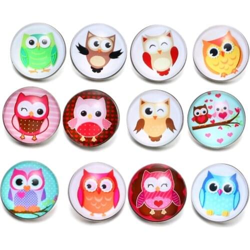 12pcs/Lot Lovely Owl Glass Charm 18mm Snap Button Jewelry For 18mm Snaps Bracelet Snap Jewelry KZ0529