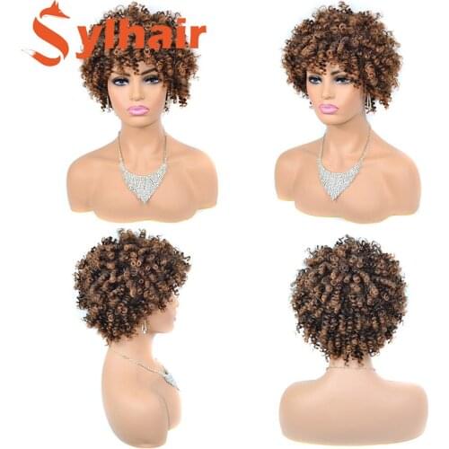 Sylhair Cosplay Wigs